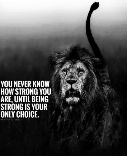 15:31:24 GMT-0600 (CST).image