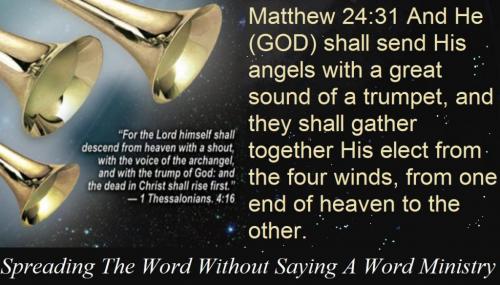 120293996_3259795927452849_1165323675185583948_o