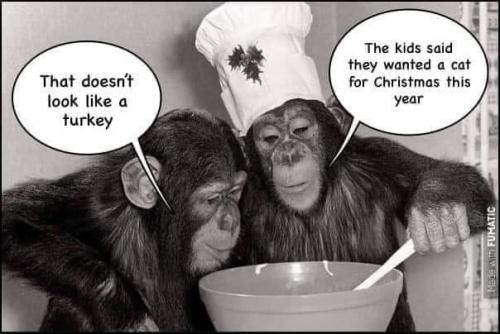 23:46:10 GMT-0500 (EST)