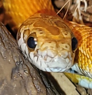 07:20:38 GMT-0500 (EST)