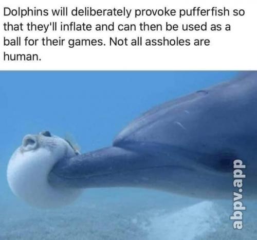 00:40:39 GMT-0600 (CST).image