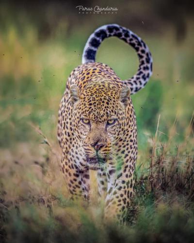 131924450_216792863335841_3595633548870175514_n