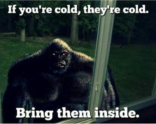 23:35:27 GMT-0600 (CST)