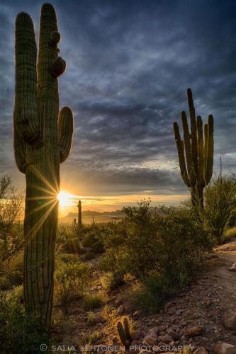 134640087_1482756718590340_1413070189181669298_o