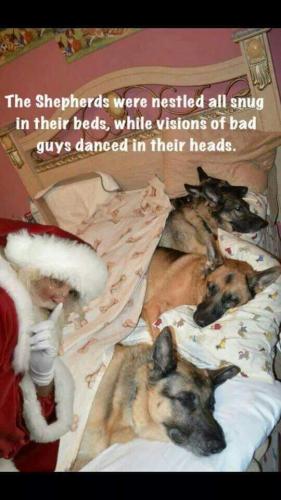 10:50:30 GMT-0500 (EST)