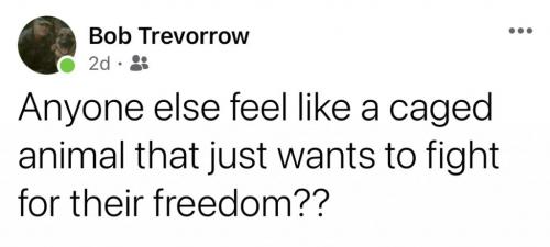 07:57:54 GMT-0600 (CST).image