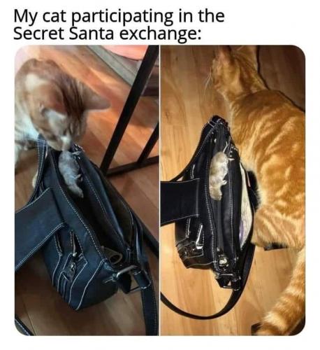 78462449_1501030666701821_5113665384913829888_n