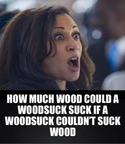 11:23:11 GMT-0500 (EST).image