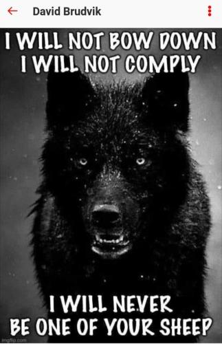 01:04:51 GMT-0500 (EST)