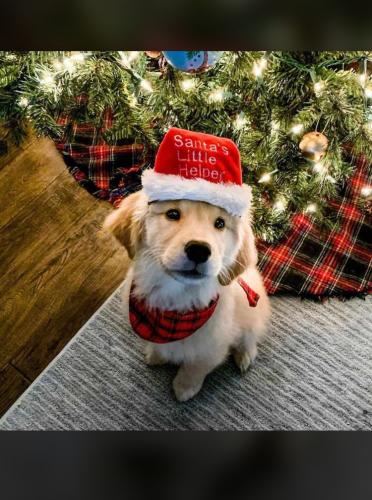 04:40:29 GMT+0100 (WAT).image