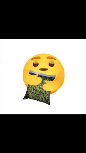 06:39:03 GMT-0600 (CST)