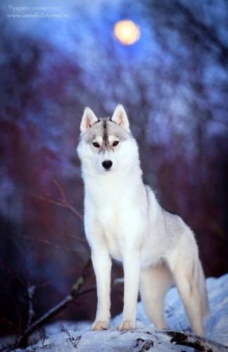 18:25:44 GMT-0600 (CST)