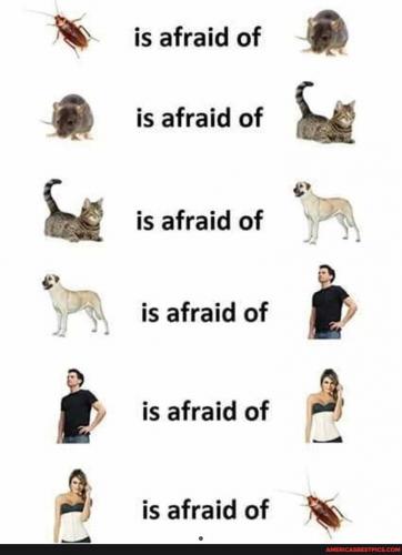 08:55:14 GMT-0600 (CST).image