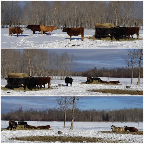 16:19:01 GMT-0600 (CST)