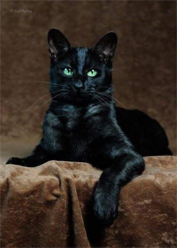 04:07:49 GMT-0600 (CST)