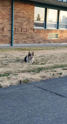 14:41:57 GMT-0800 (PST)