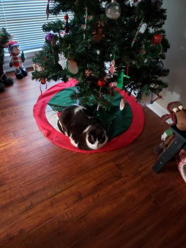 15:03:57 GMT-0600 (CST)