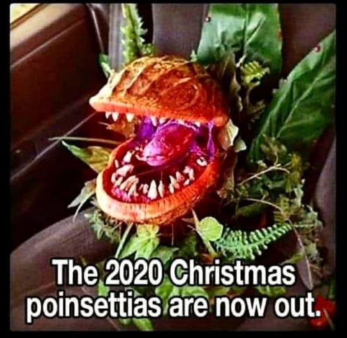 12:02:46 GMT-0500 (EST).image