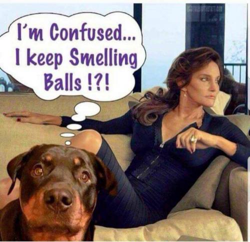 23:30:28 GMT-0500 (EST).image