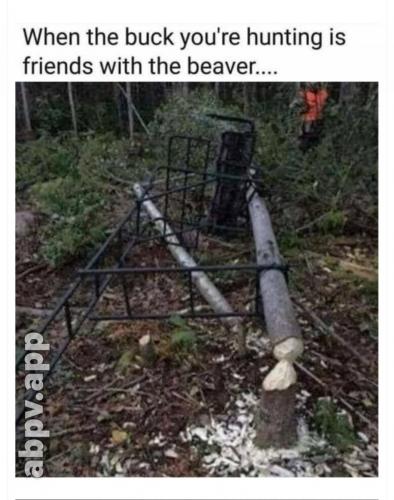 05:52:58 GMT-0600 (CST).image