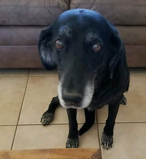 10:50:42 GMT+0000 (GMT).png