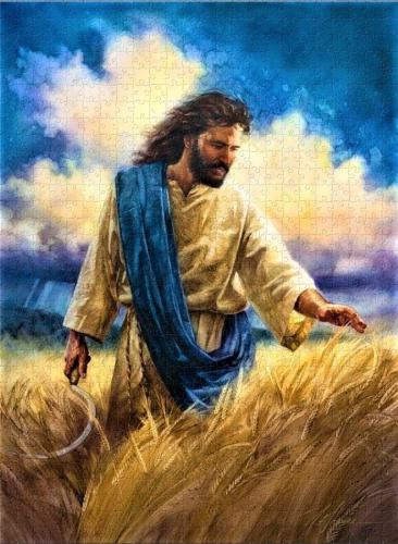 QVZlWmw5c0Z4dl90UVNqWg