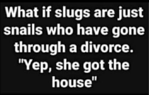 01:24:38 GMT-0600 (CST).image