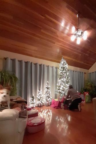 2020-12-04_181341 Working on it sm