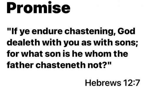 1362825A-6CA3-48C9-9079-9B273FD098E8