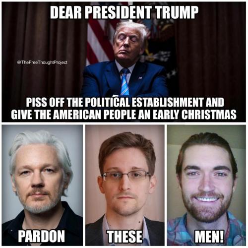 131384126_2449260898714443_9089399723692543754_o