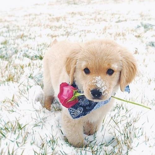 19:59:29 GMT+0100 (WAT)