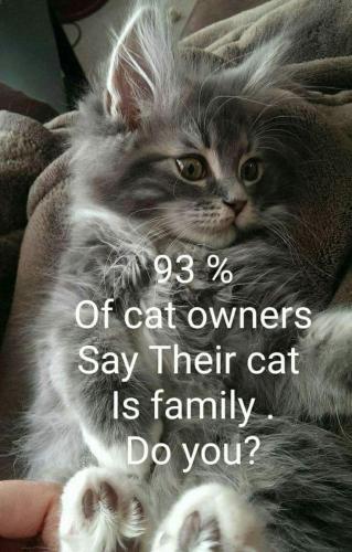 12:20:56 GMT-0600 (CST)