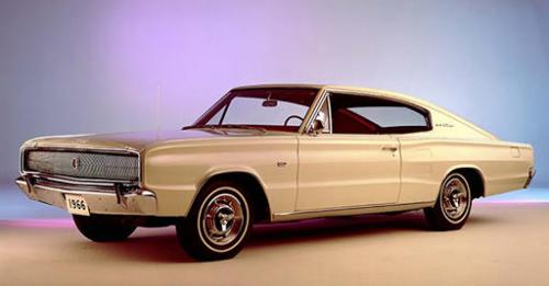 123954140_23846539776380042_7822065566238179174_n