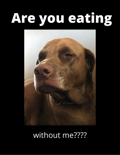 Are you eating
