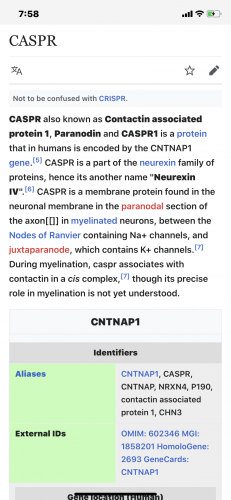 19:59:24 GMT-0600 (CST).image