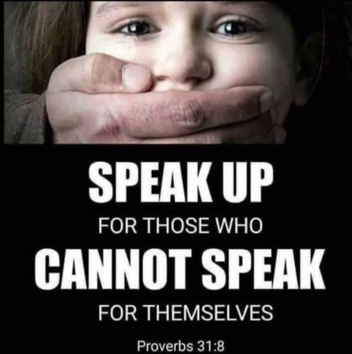 08:15:10 GMT+1100 (AEDT).image