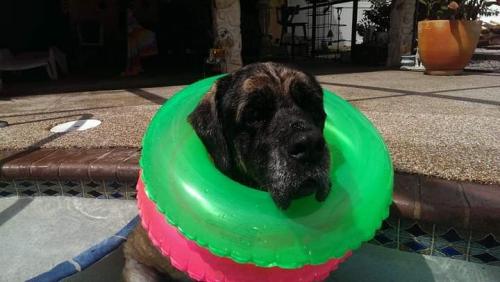 16:57:11 GMT+0100 (WAT)