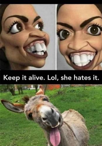 10:50:27 GMT-0700 (MST).image