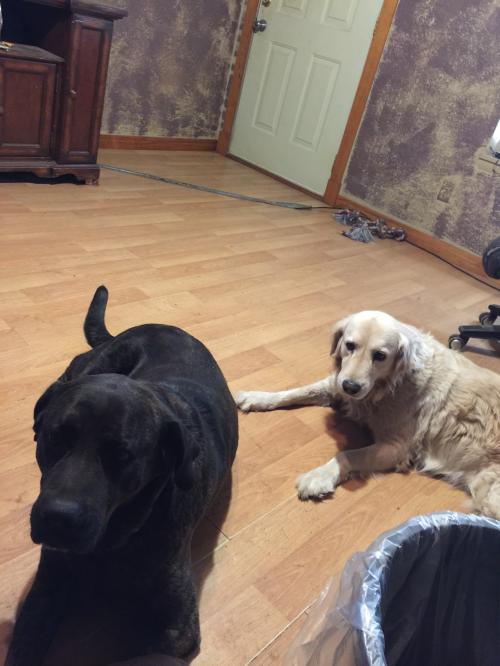 16:10:54 GMT-0600 (CST)