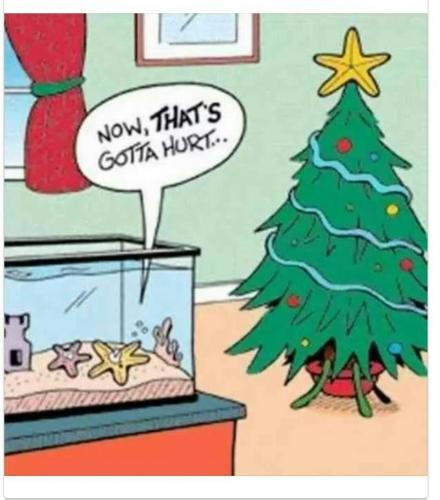 Screenshot_2020-12-06-15-36-34-1