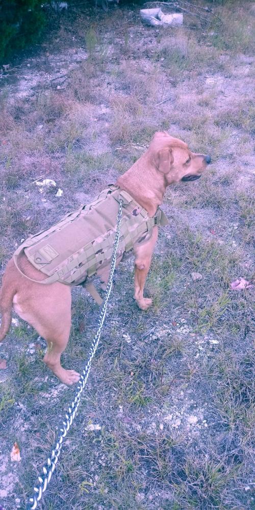 04:47:44 GMT+0100 (WAT).*