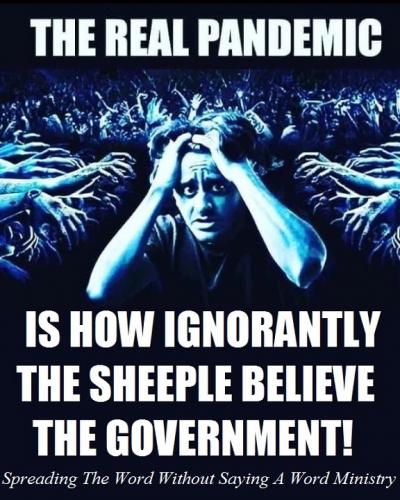 843fcdc56f28a7604ff781391edcc891_1024