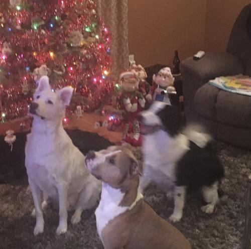 13:56:39 GMT-0500 (EST).image