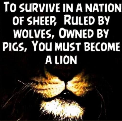 23:43:25 GMT-0800 (PST).image