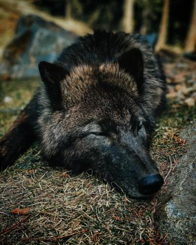 131937727_222504572776910_7767340819940363612_o