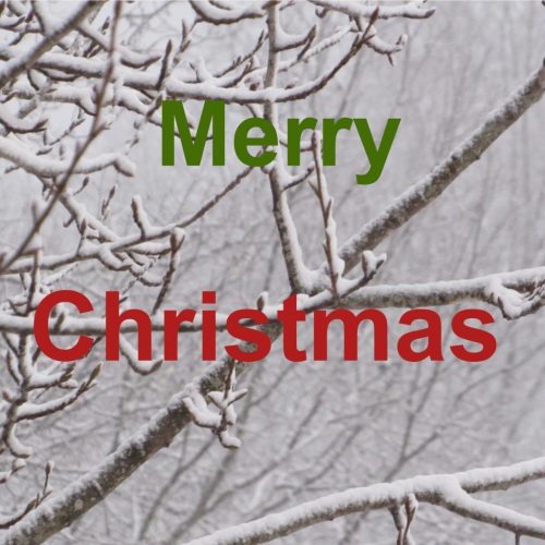 Merry Christmas 2020