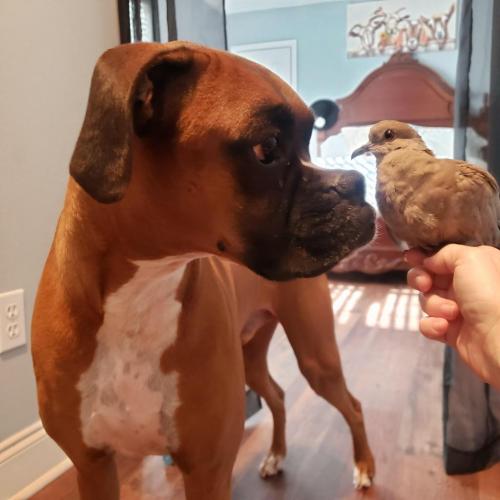 01:03:49 GMT-0600 (CST)