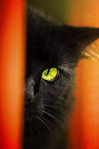 06:12:59 GMT-0600 (CST)