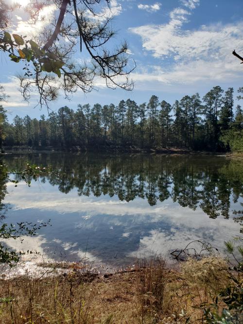 08:53:06 GMT-0600 (CST)