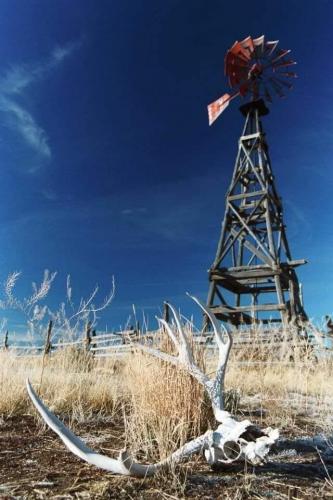 132461091_1342999652716816_1039614525341879870_n